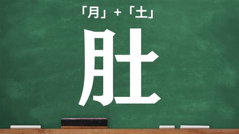 土月|月へんに土の読み方は？「肚」の3つの音読み訓読み